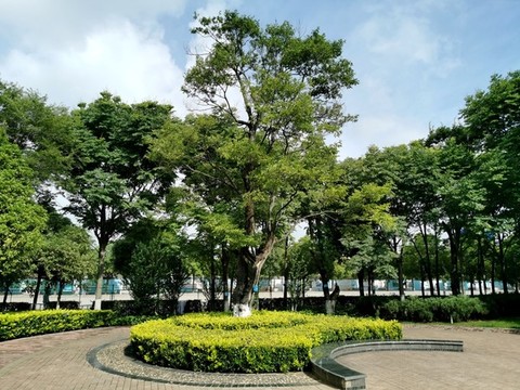 小廣場中心景觀綠化帶