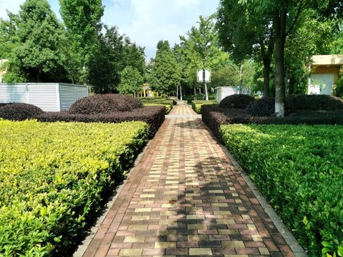 公園小路園林綠化