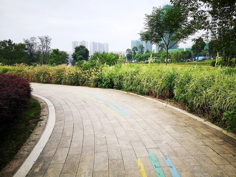 健身步道