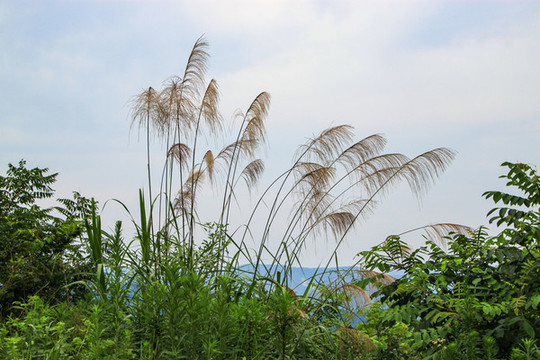 寧波四明山