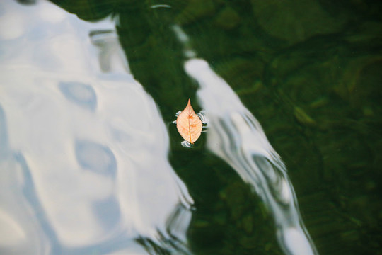寧波四明山