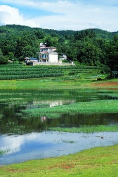新農(nóng)村