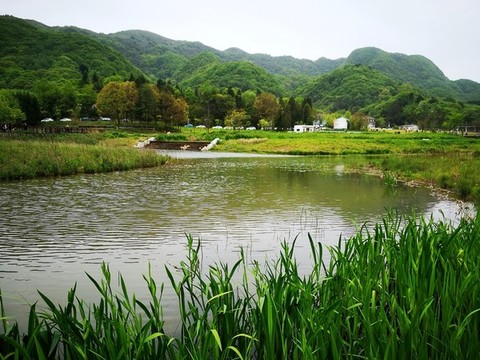 濕地公園