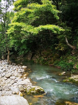 山中溪流