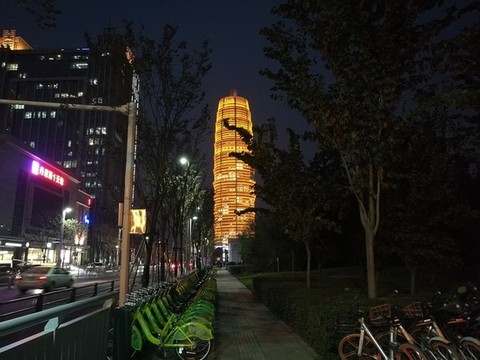 鄭州大玉米