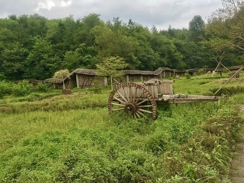 風(fēng)吹草沒(méi)曾有夢(mèng)