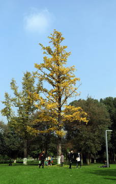 公園
