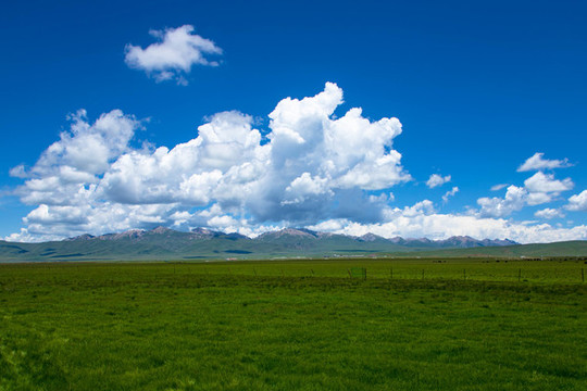 草原風(fēng)景
