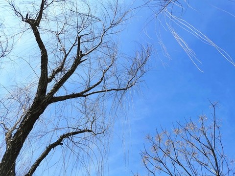 藍天白云