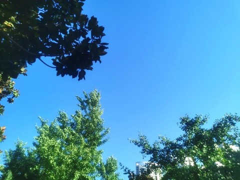 藍天白云