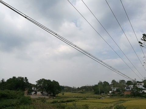 老家農(nóng)村田野稻田