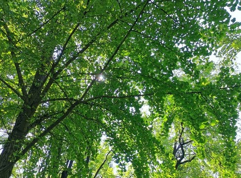 春天公園的一角