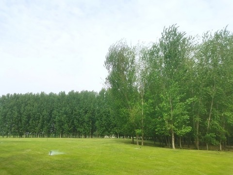 公園綠化一角