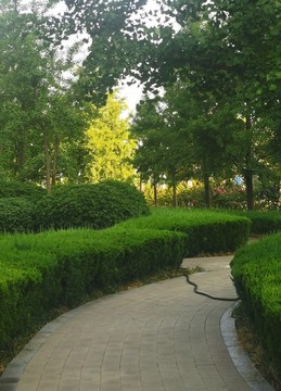 公園綠化一角