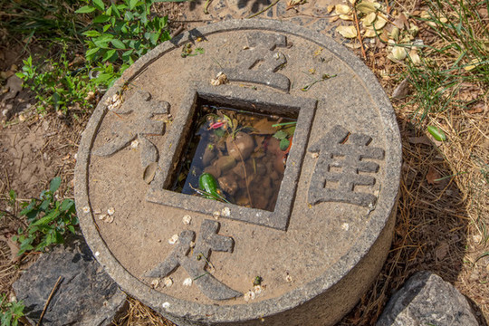 南開大學(xué)東方藝術(shù)大樓范曾作品