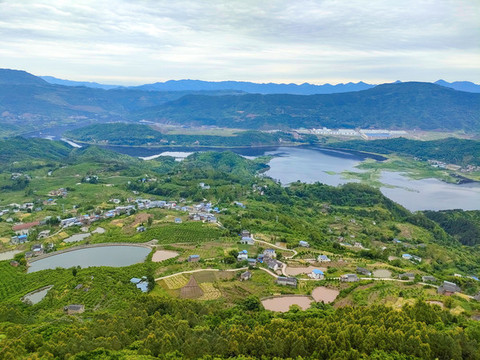 田園田野