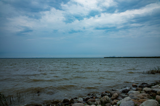 團泊湖濕地