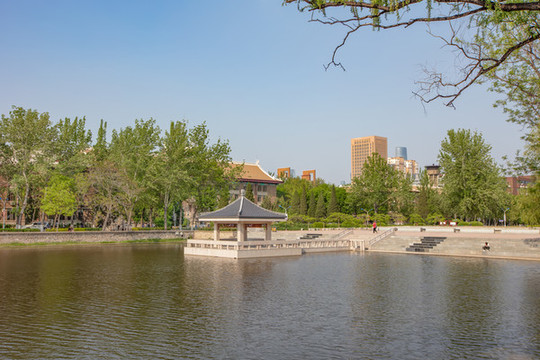 天津大學敬業(yè)湖