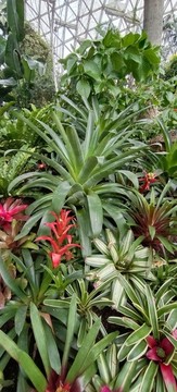 上海辰山植物園