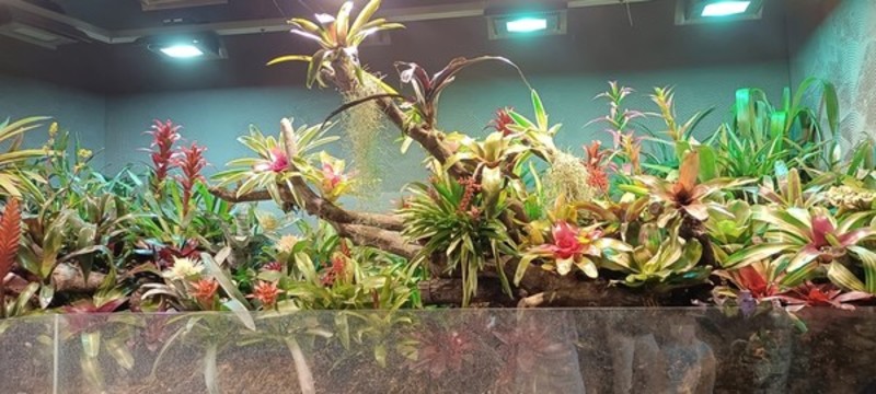 上海辰山植物園