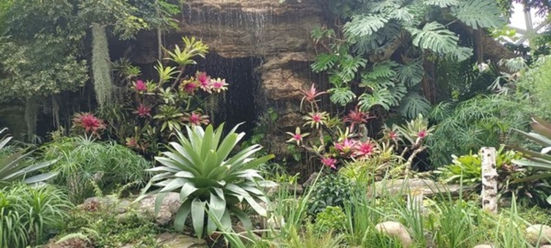 上海辰山植物園
