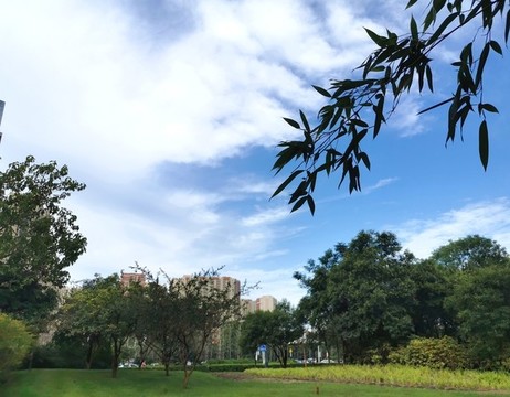 藍(lán)天白云