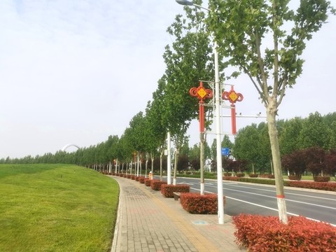 濱河國際新城的綠地