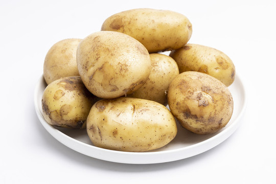 土豆馬鈴薯