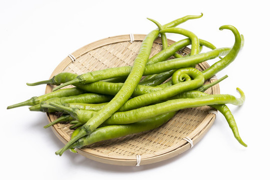 線椒