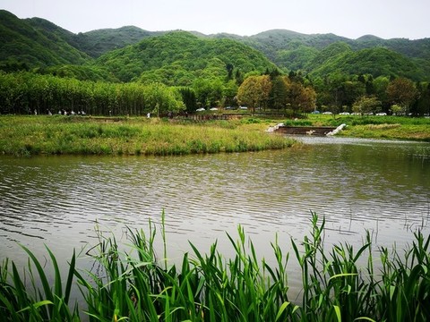 濕地公園