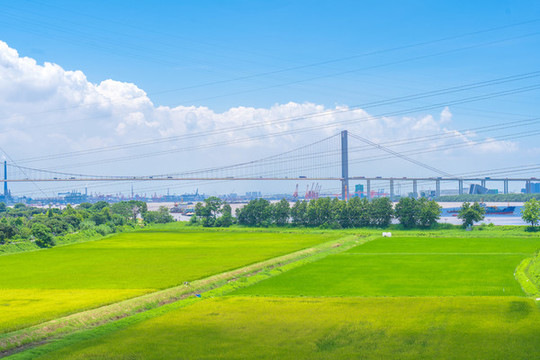 郊區(qū)鄉(xiāng)村田園風(fēng)光