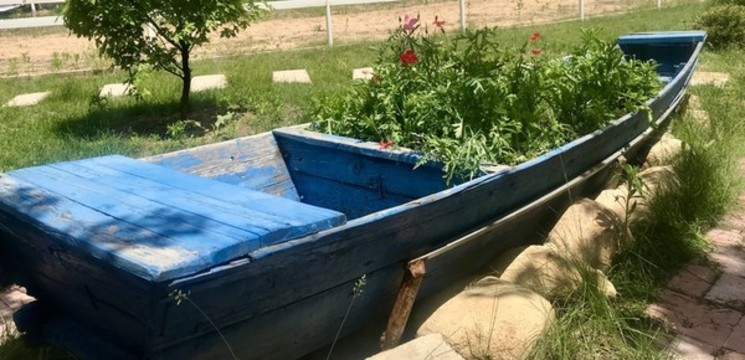 旱船載草