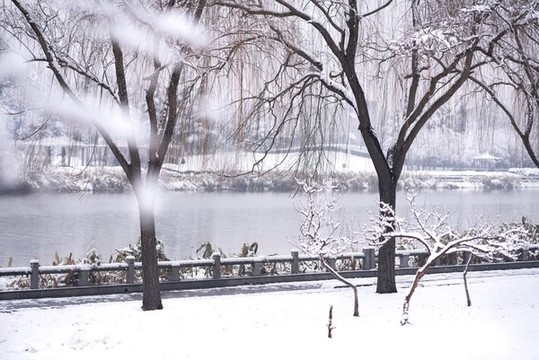 公園雪景