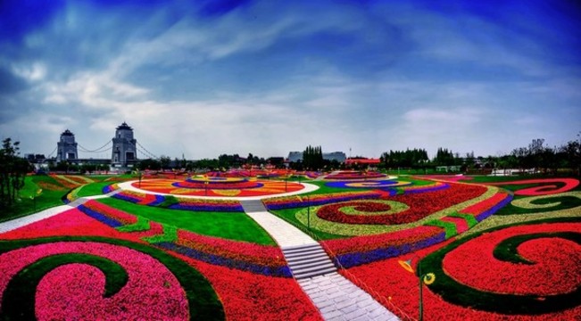 奇跡花毯