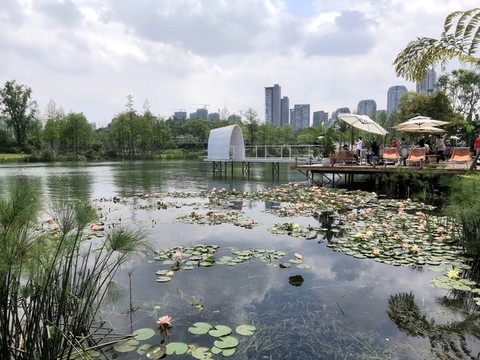 成都麓客島城市風(fēng)光