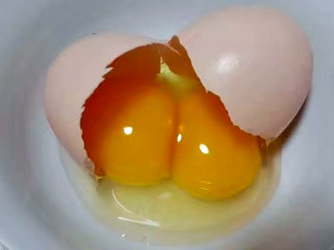 雙黃蛋