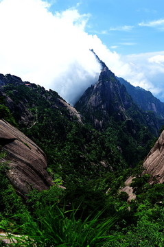 黃山