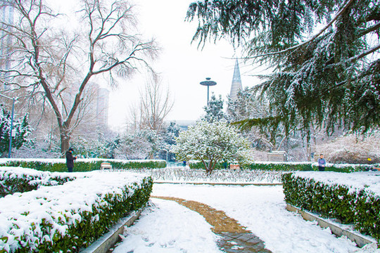 公園雪景