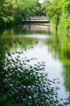城市公園景觀設(shè)計