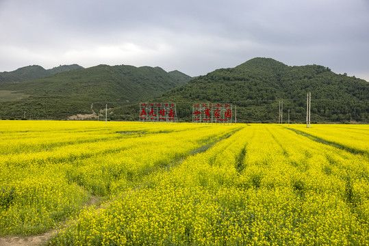 甘南尕海濕地