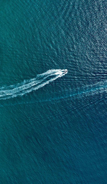 海洋