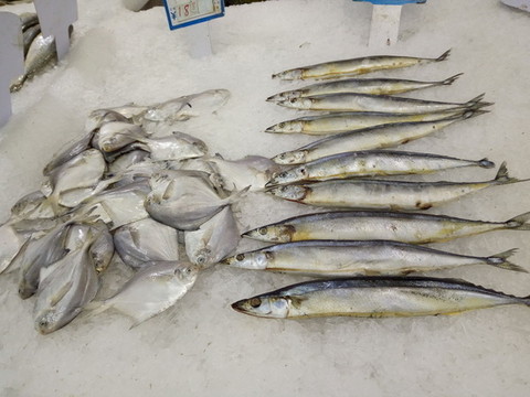 咸魚