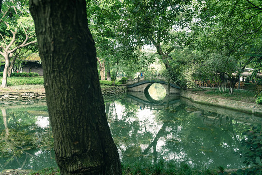公園的早晨
