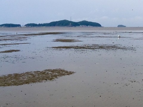 遠(yuǎn)望東港獐島