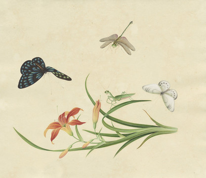 綠蔥花水彩花卉?chē)?guó)畫(huà)裝飾畫(huà)