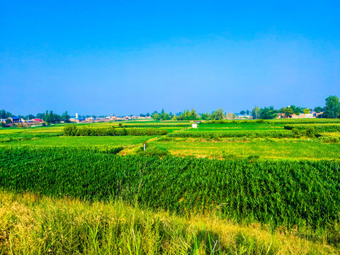 八百里秦川寧靜的田野