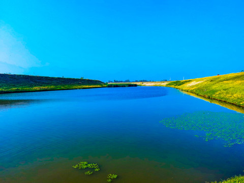 羅紋河濕地公園自然風(fēng)景