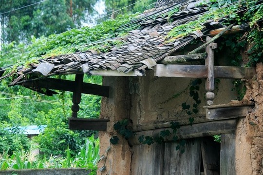 農(nóng)家老屋