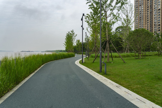公園道路