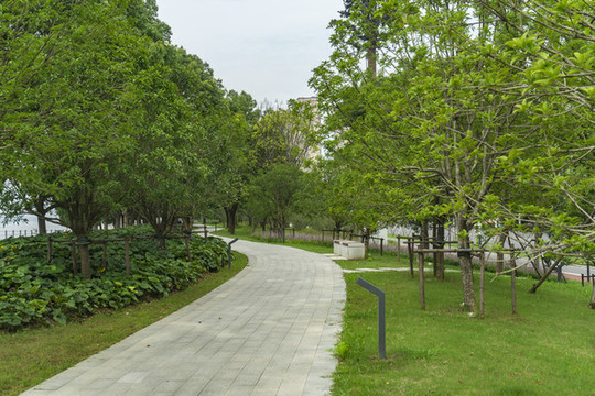 公園道路